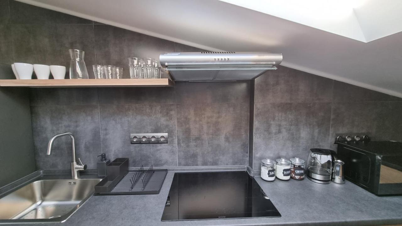 Mansarda Apartman Kamjanyi Potoki Kültér fotó