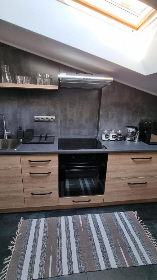 Mansarda Apartman Kamjanyi Potoki Kültér fotó