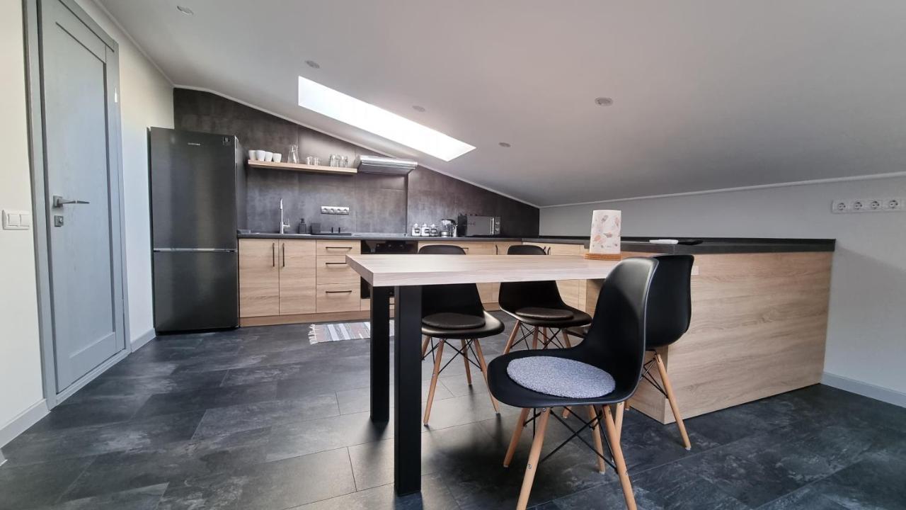 Mansarda Apartman Kamjanyi Potoki Kültér fotó