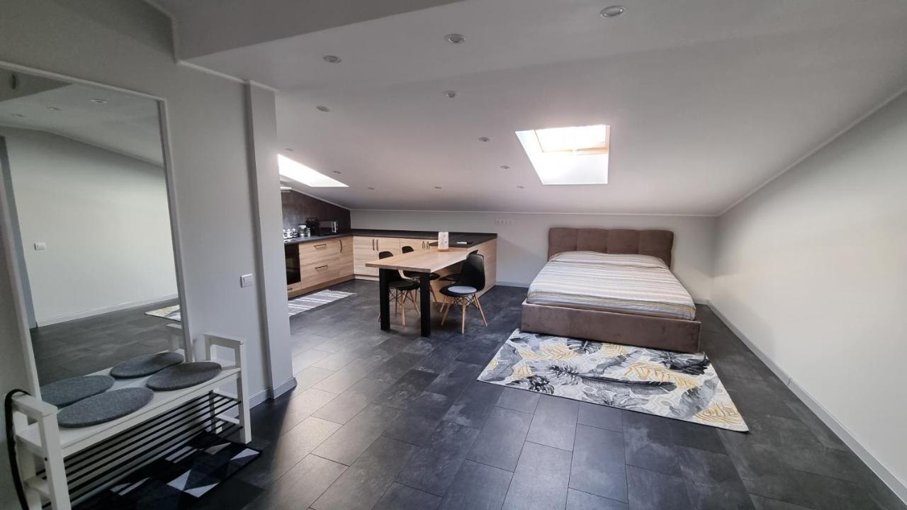 Mansarda Apartman Kamjanyi Potoki Kültér fotó