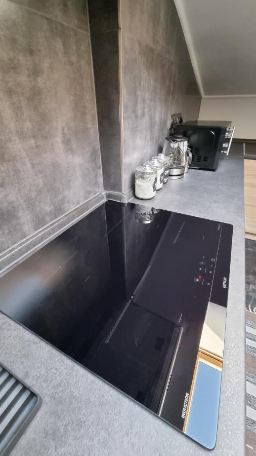 Mansarda Apartman Kamjanyi Potoki Kültér fotó