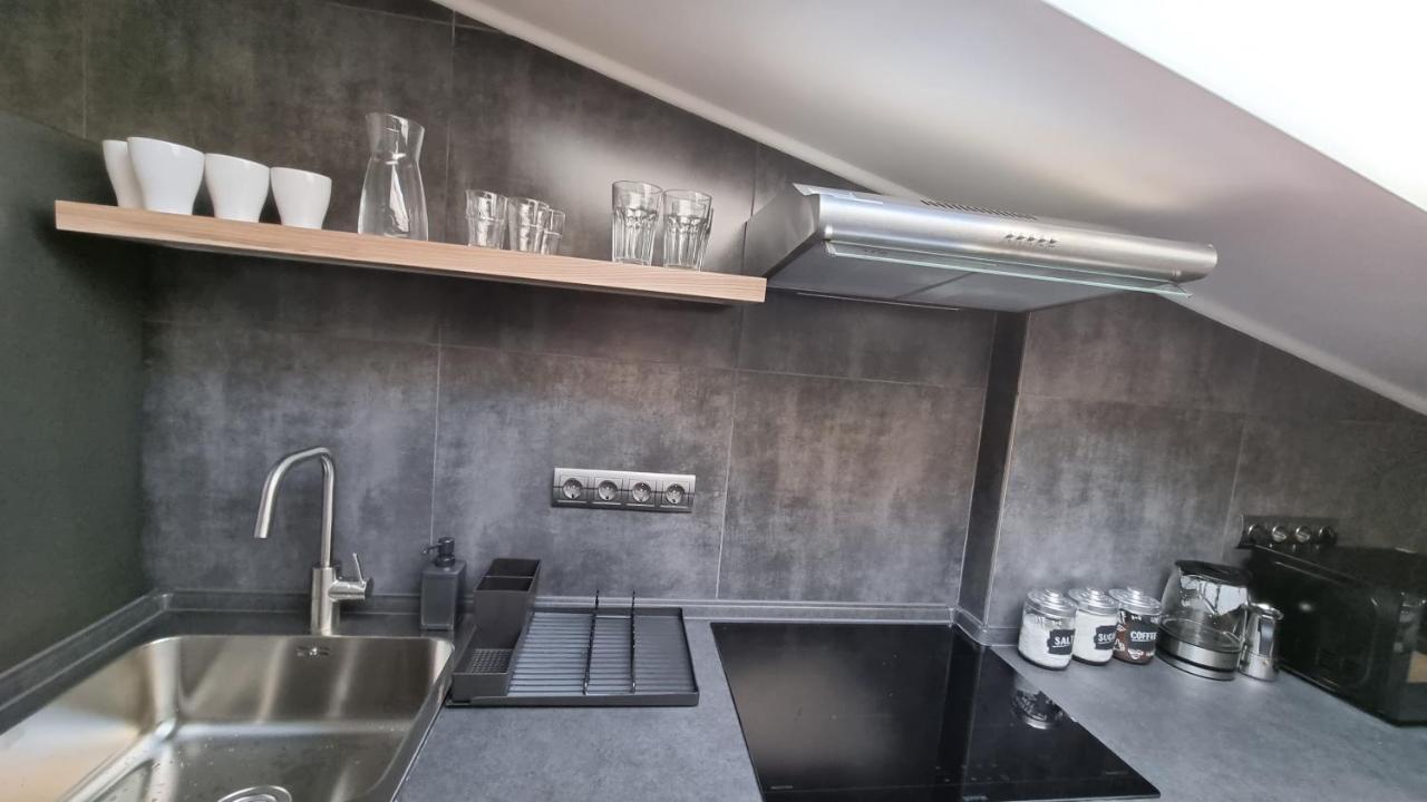 Mansarda Apartman Kamjanyi Potoki Kültér fotó