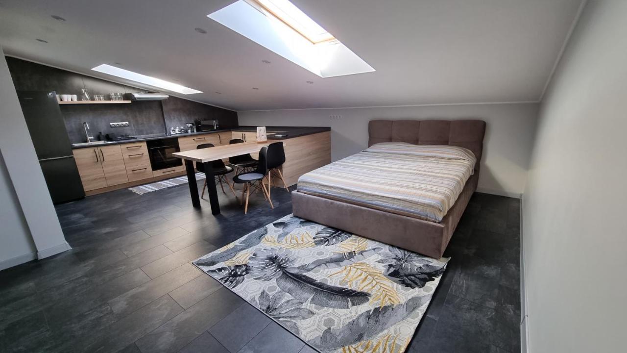 Mansarda Apartman Kamjanyi Potoki Kültér fotó
